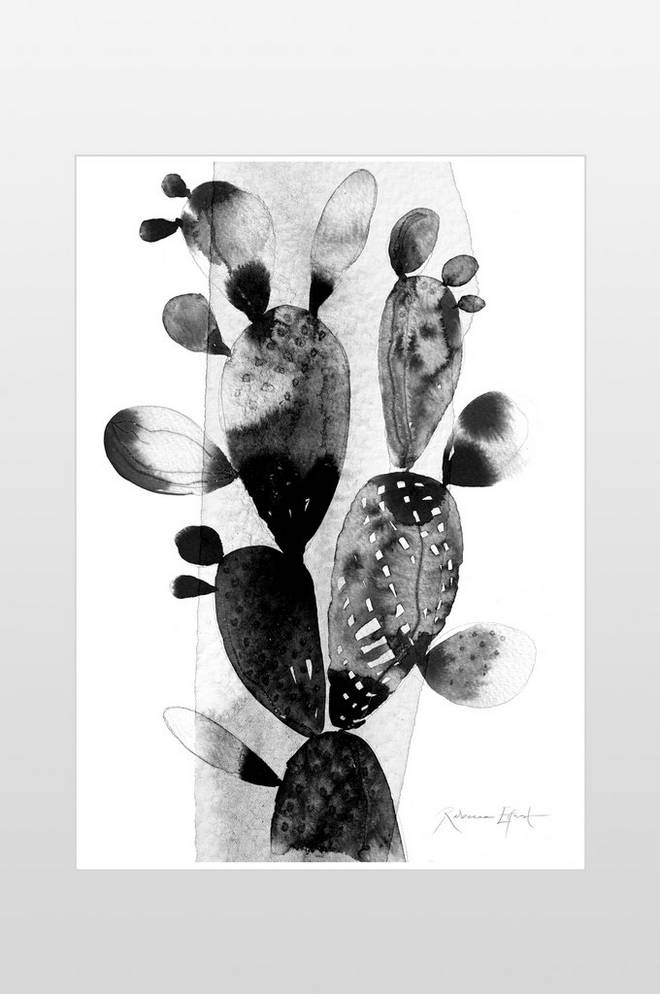 Bilde av Poster Kaktus 50x70 cm