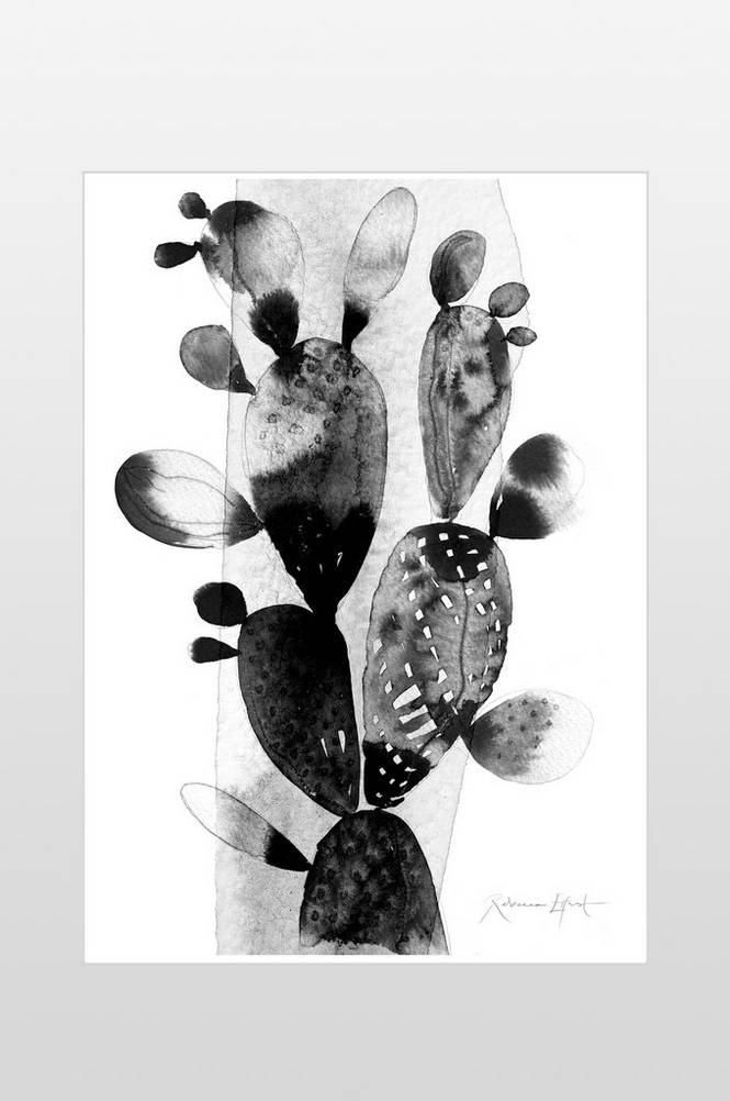 Poster Kaktus 50×70 cm