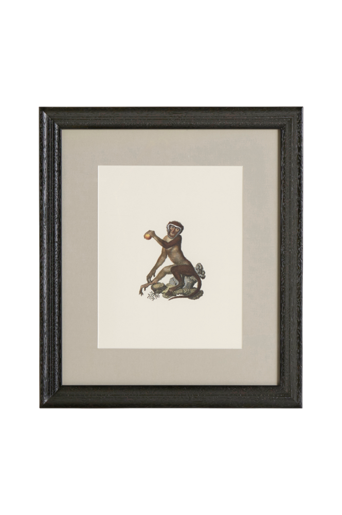 Tavla Monkey 2 35×40 cm
