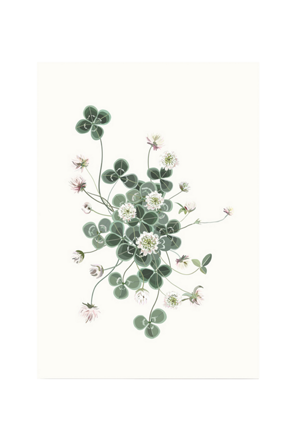 Bilde av Poster Lucky Clover 50x70 - 30151
