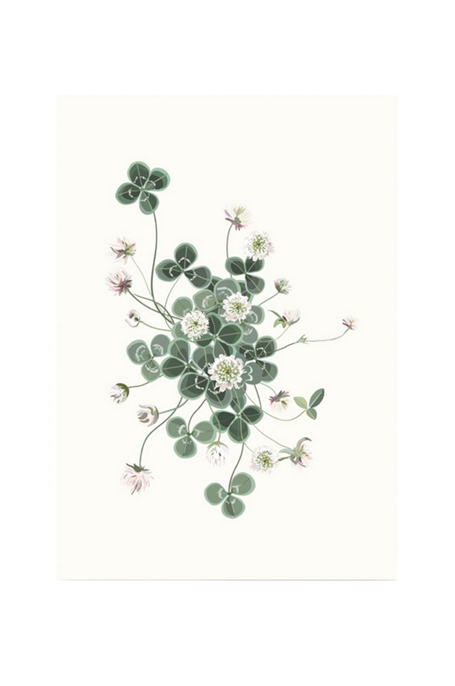 Bilde av Poster Lucky Clover 50x70