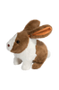 Happy Hoppy Bunny