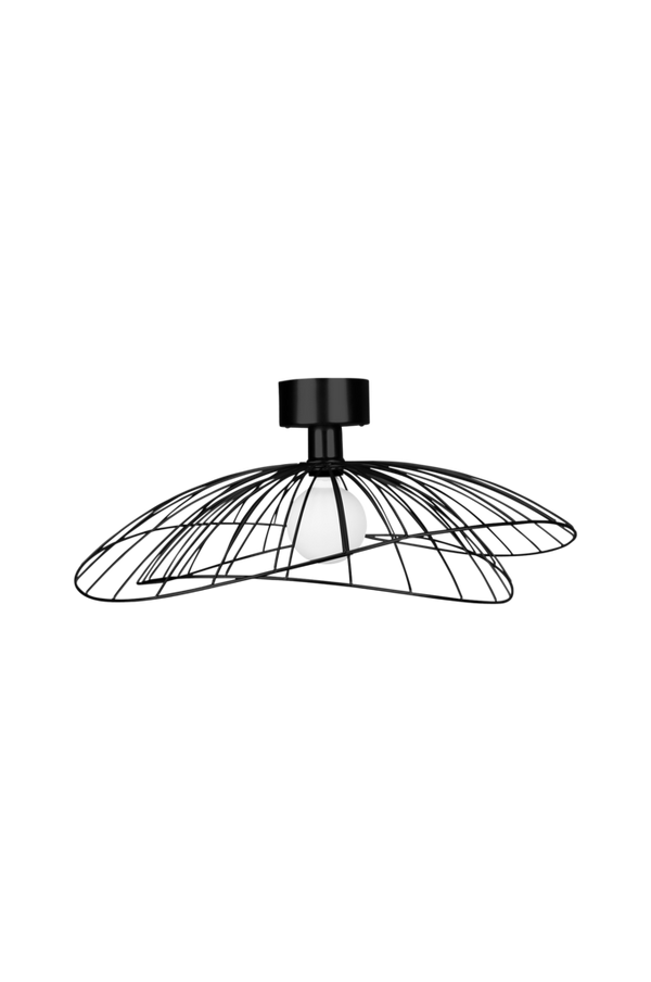 Bilde av Taklampe/vegglampe Ray - 30151
