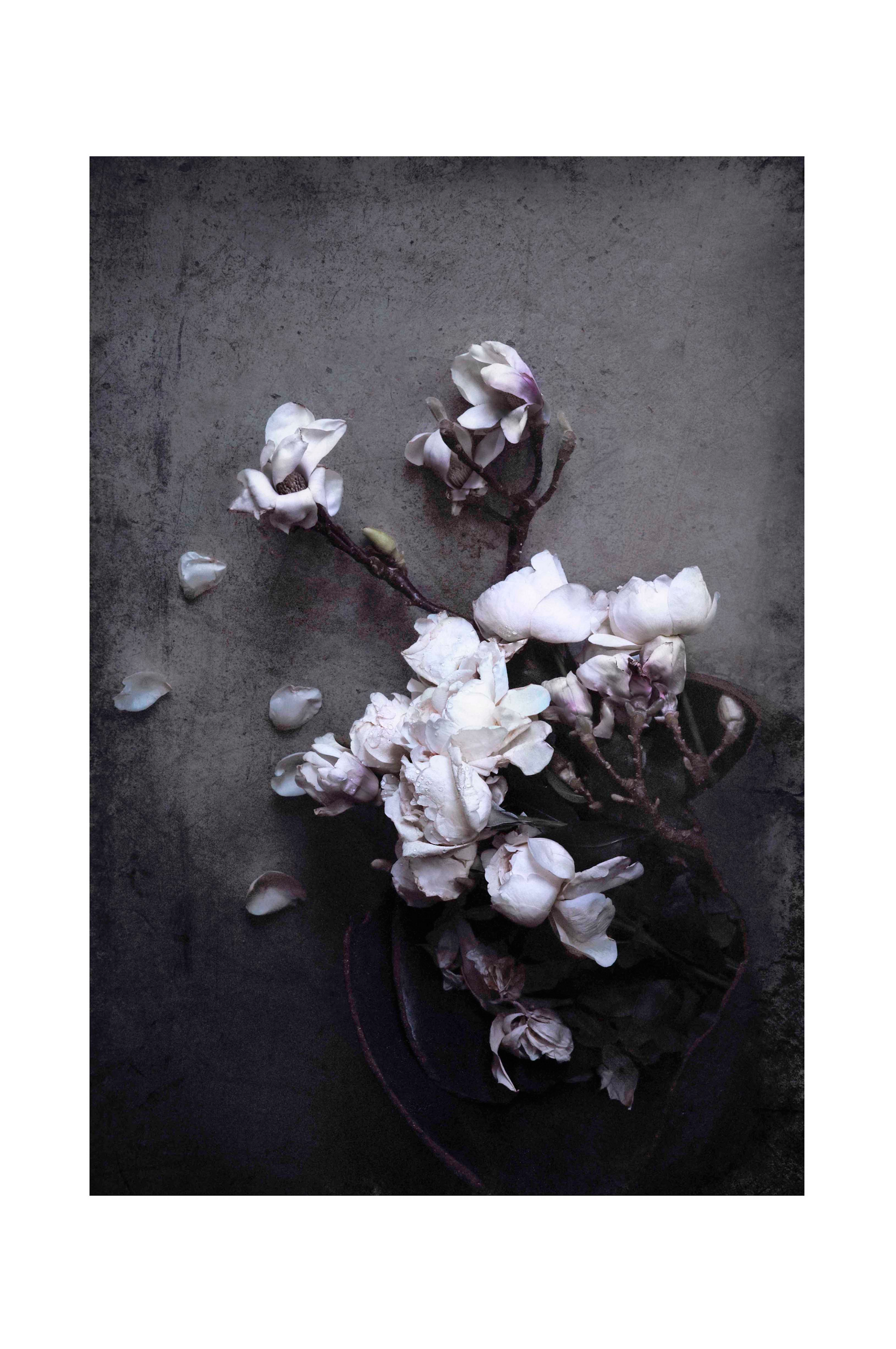 Love Warriors - Poster Isolde - Magnolia and roses print - Multi - 30X40