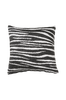 Tyyny Zebra