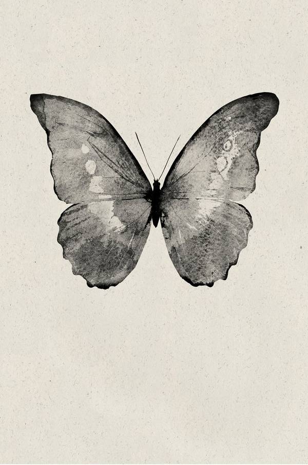 Bilde av Poster / Black Butterfly - 1
