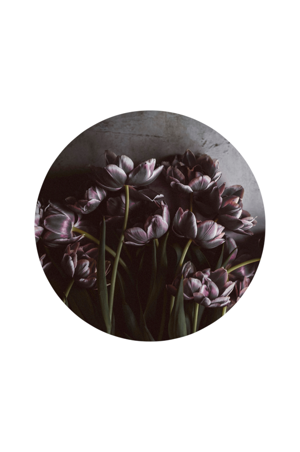 Bilde av Bilde Dark Tulips - 1

