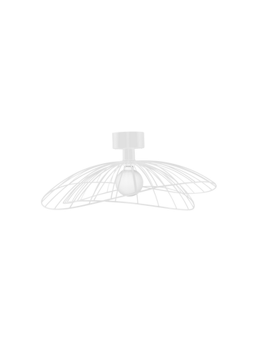 Plafond  - Plafond/Vägglampa Ray