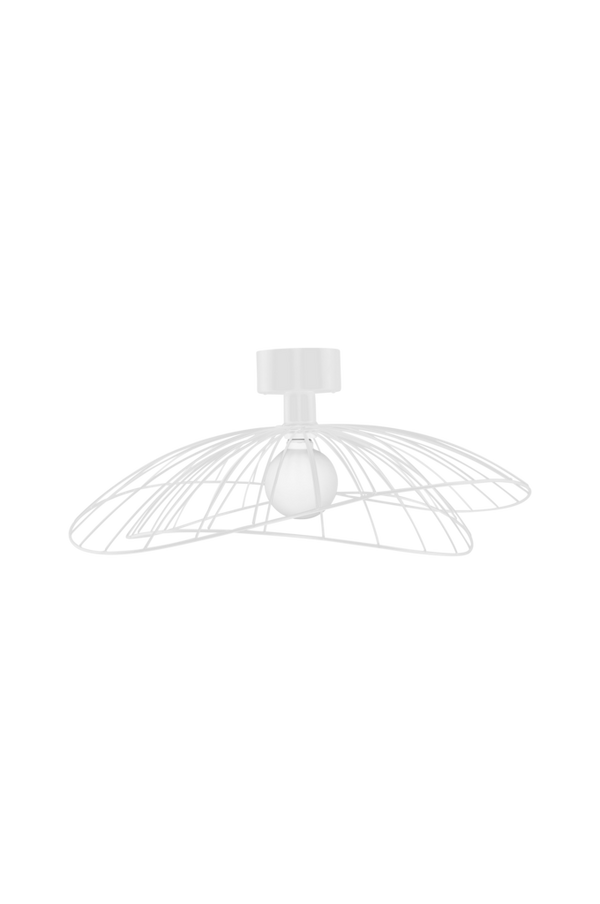 Bilde av Plafond/Vegglampe Ray 60 cm - 1
