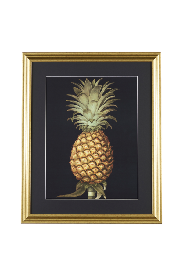 Bilde av Bilde Archive: Pineapple - 30151
