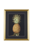 Taulu Archive: Pineapple