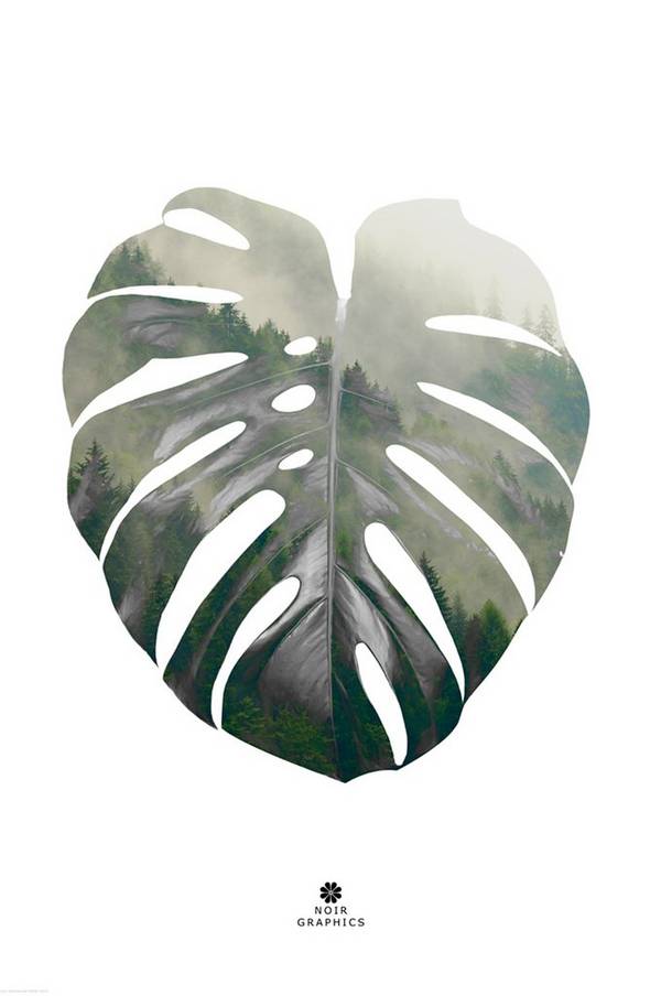 Bilde av Poster Monstera leaf - 1
