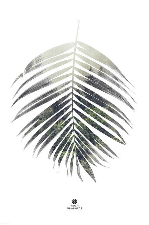 Bilde av Poster Palm leaf - 1
