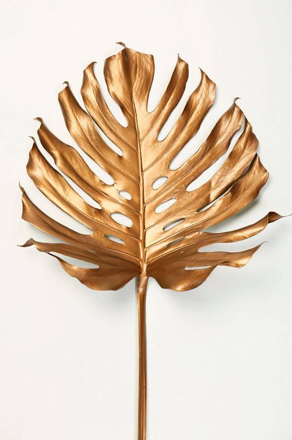 Bilde av Poster Monstrea gold leaf - 1
