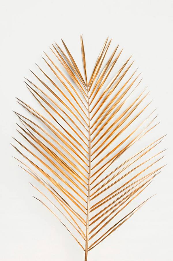 Bilde av Poster Palm leaf gold - 1
