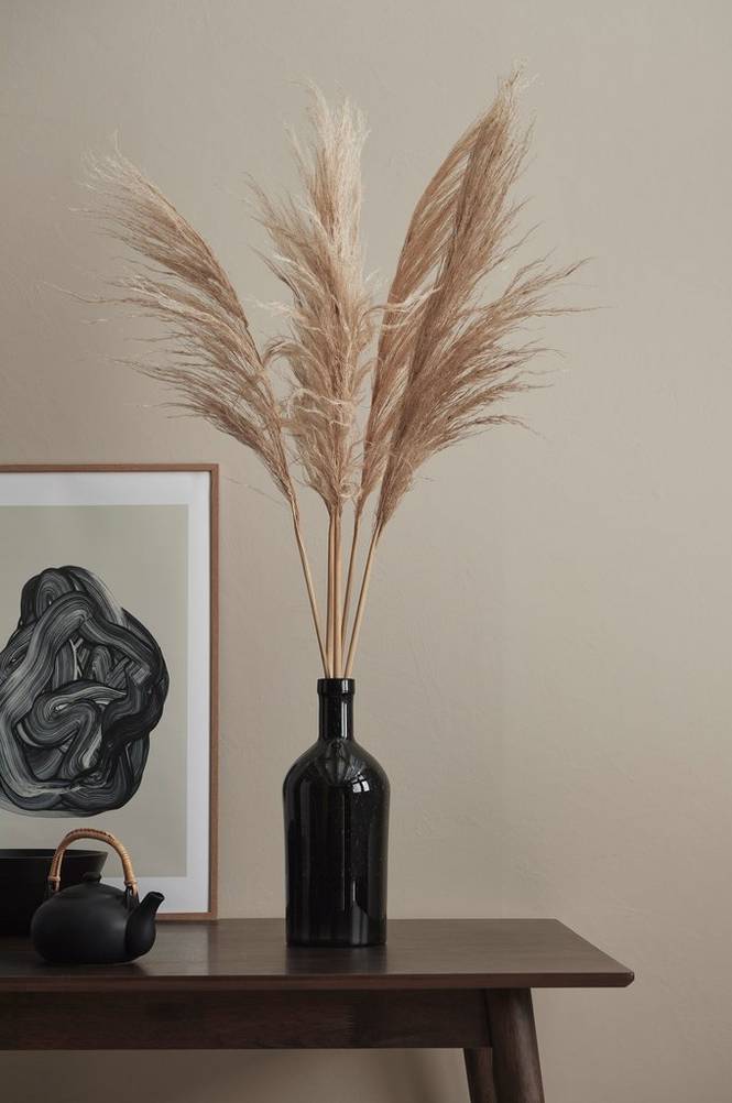 House of Flowers Cortaderia