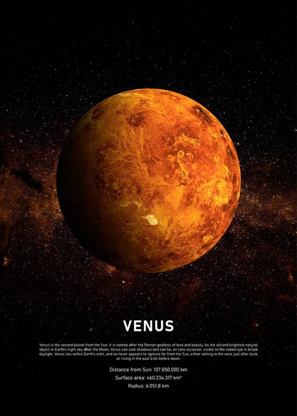 Bilde av Poster Venus - 1
