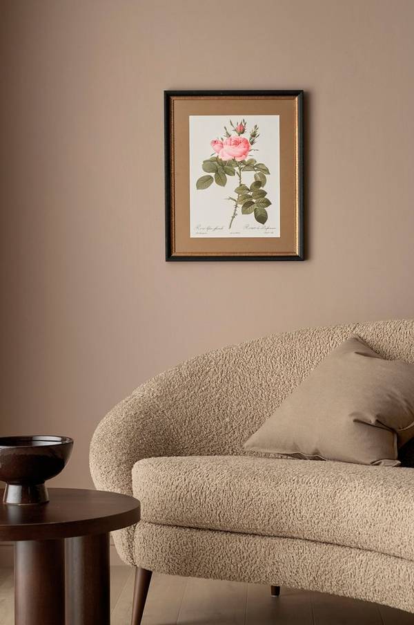 Bilde av Bilde Rosa Bifera Officianalis - 1
