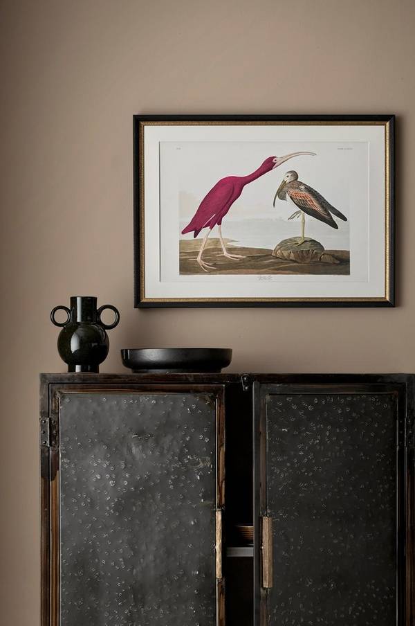 Bilde av Bilde Audubon Scarlet Ibis - 1
