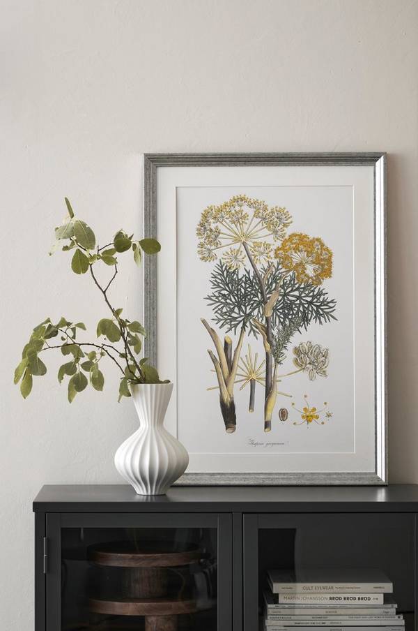 Bilde av Bilde Archive Saffron Botanicals 4 - 1
