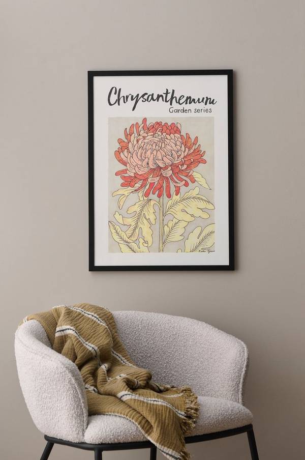 Bilde av Poster Chrysanthemum - 1
