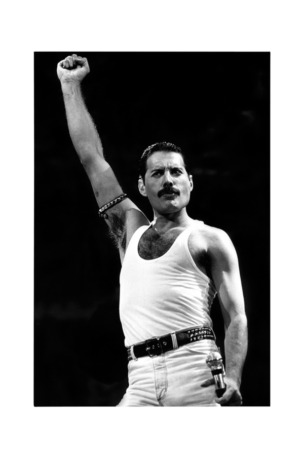 Bilde av Poster Freddie Mercury - 1
