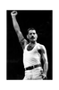 Juliste Freddie Mercury