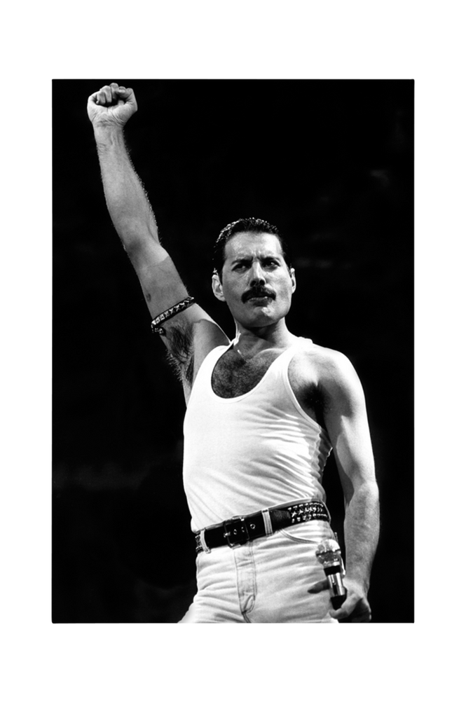 Malerifabrikken Poster Freddie Mercury