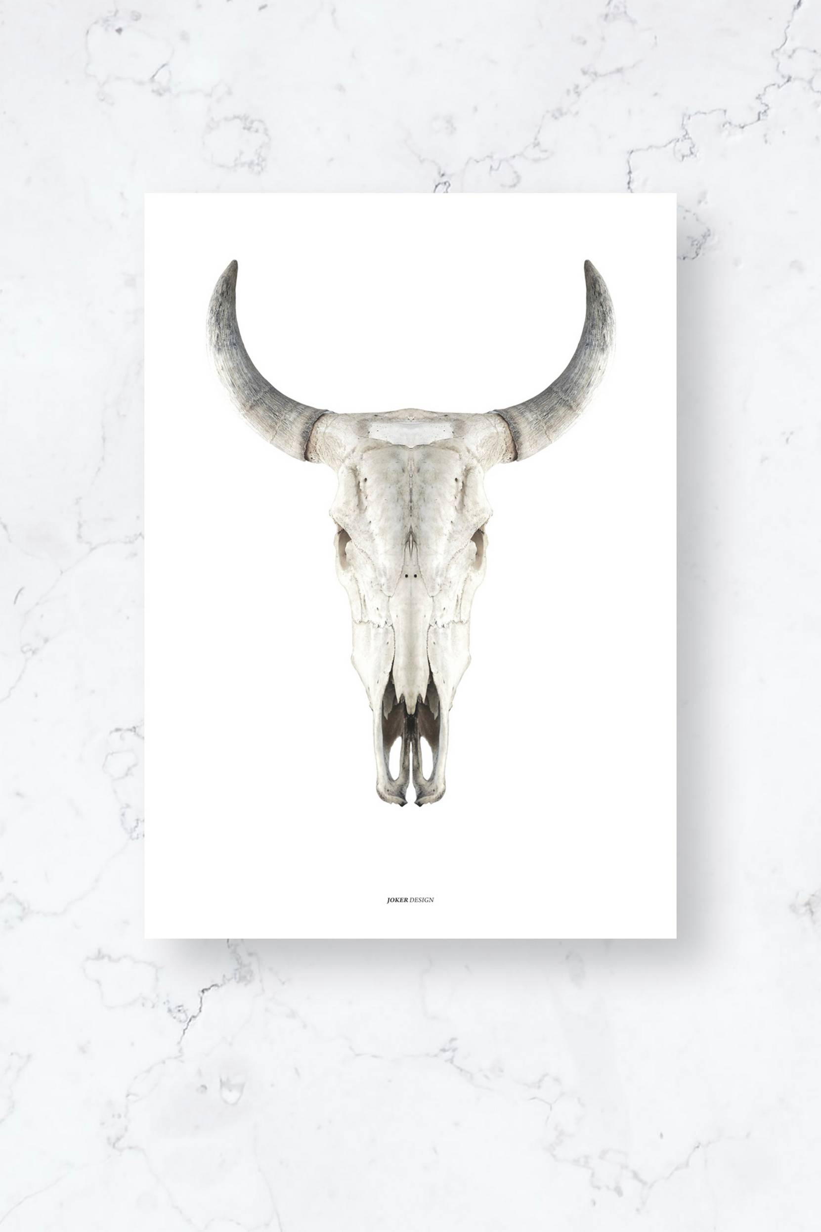 Malerifabrikken - Poster / Cow skull / Plano - Vit - 30X40