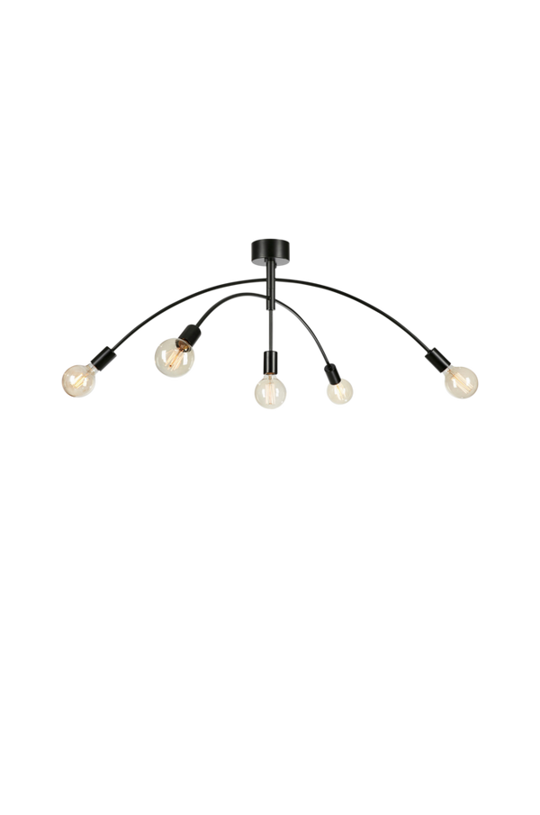 Bilde av Taklampe CRUX 5L - 1
