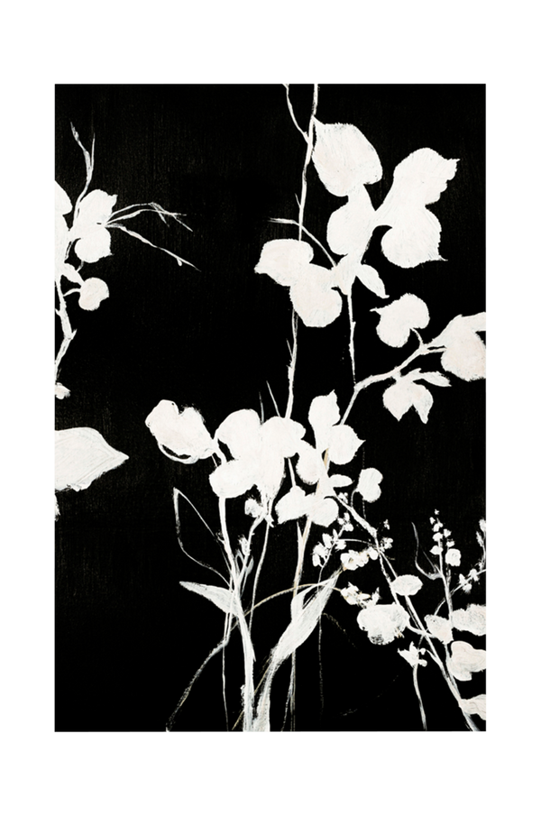 Bilde av Poster Silhouet Leaves 1 - 1
