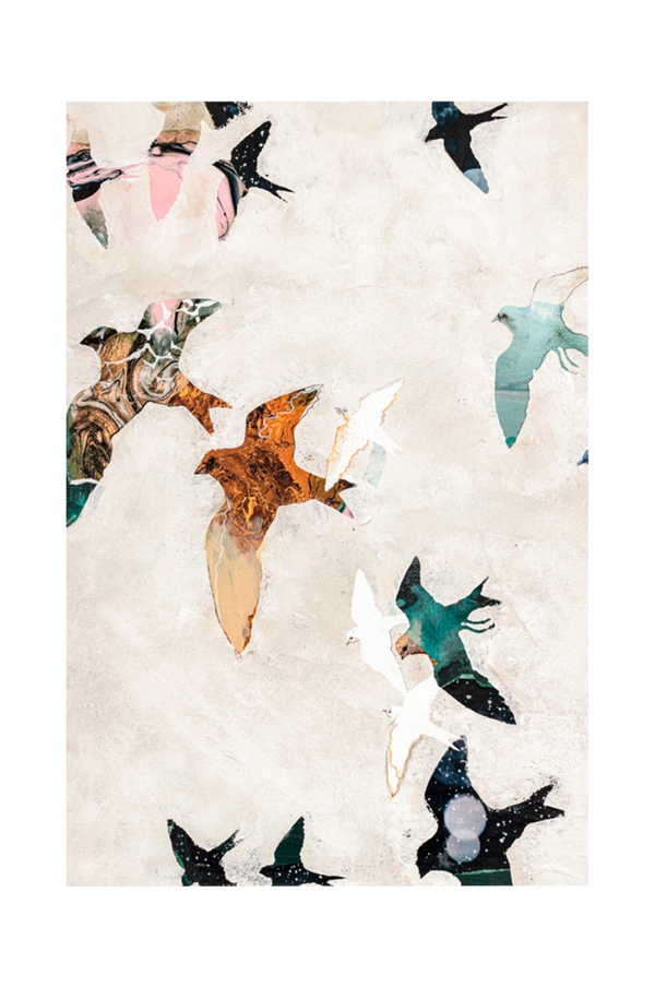 Bilde av Poster Abstract Birds 1 - 1

