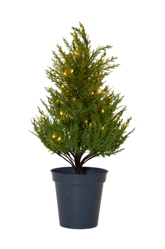 Star Trading Dekortre Thuja 55 cm