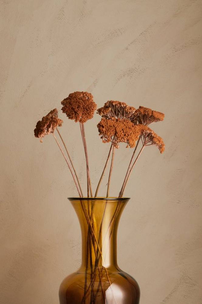 House of Flowers Achillea