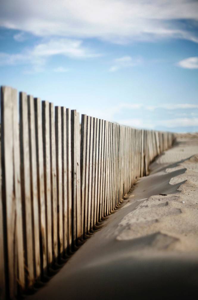 Malerifabrikken Poster Sand behind bars