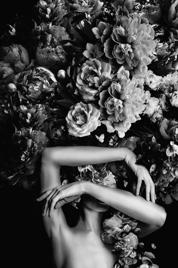 Bilde av Poster Art Floral 1 - 1

