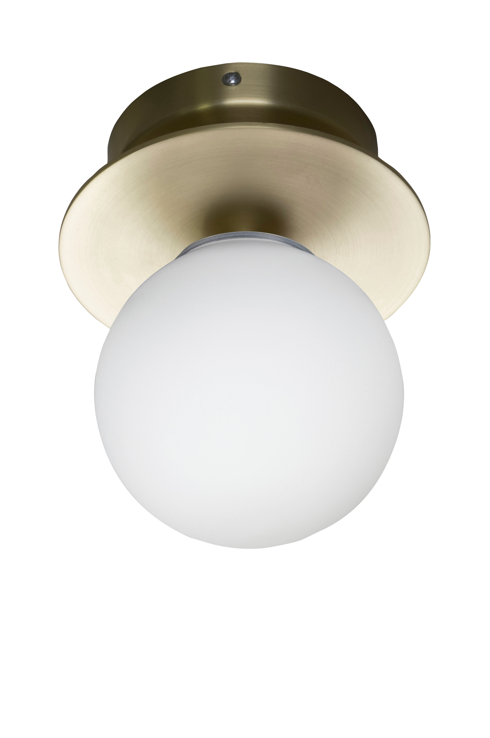 Globen Lighting - Vägglampa/Plafond Art Deco 24 IP44 - Mässing