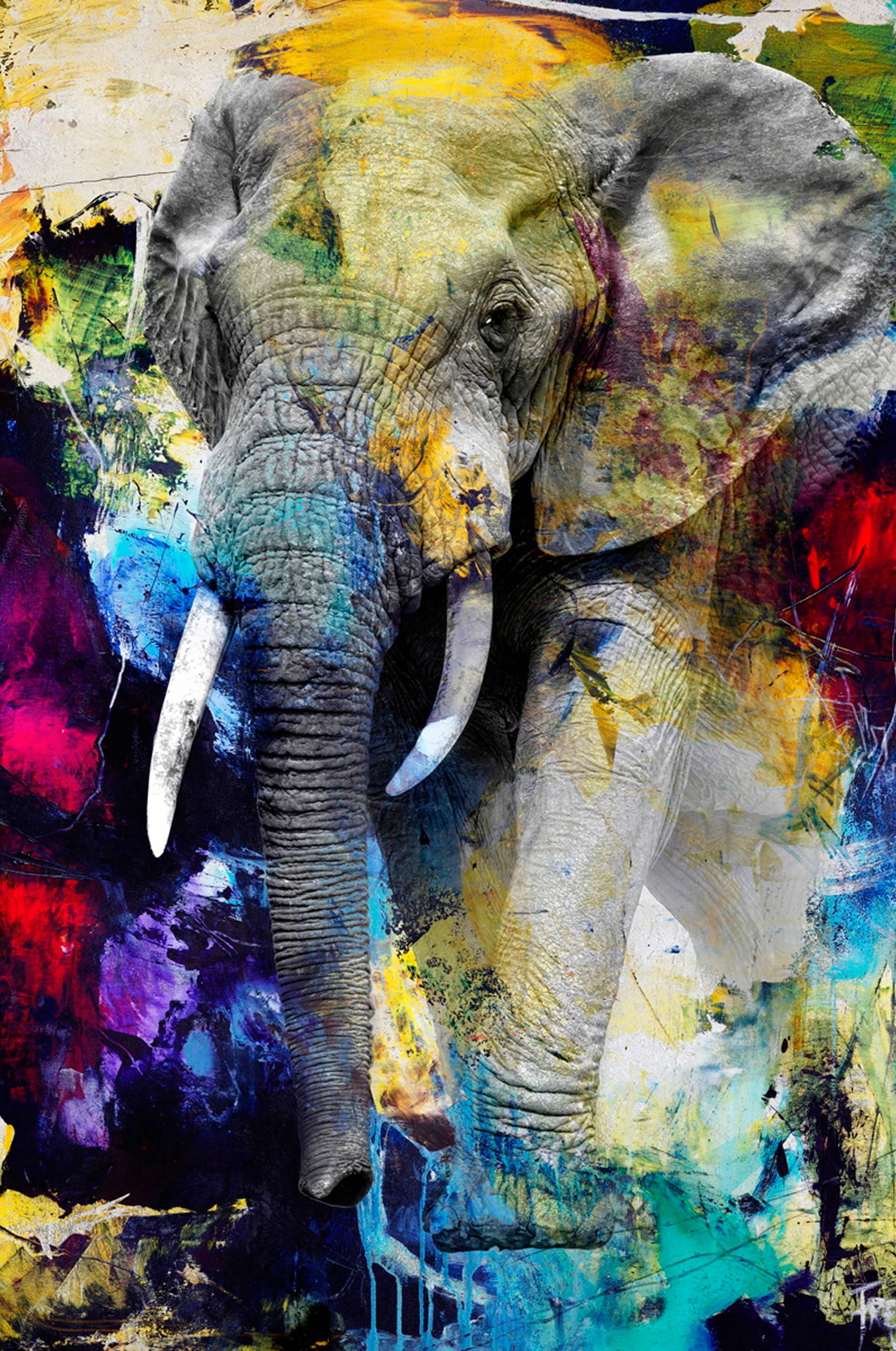Malerifabrikken - Tavla Colour Elephant - Multi - 90X120