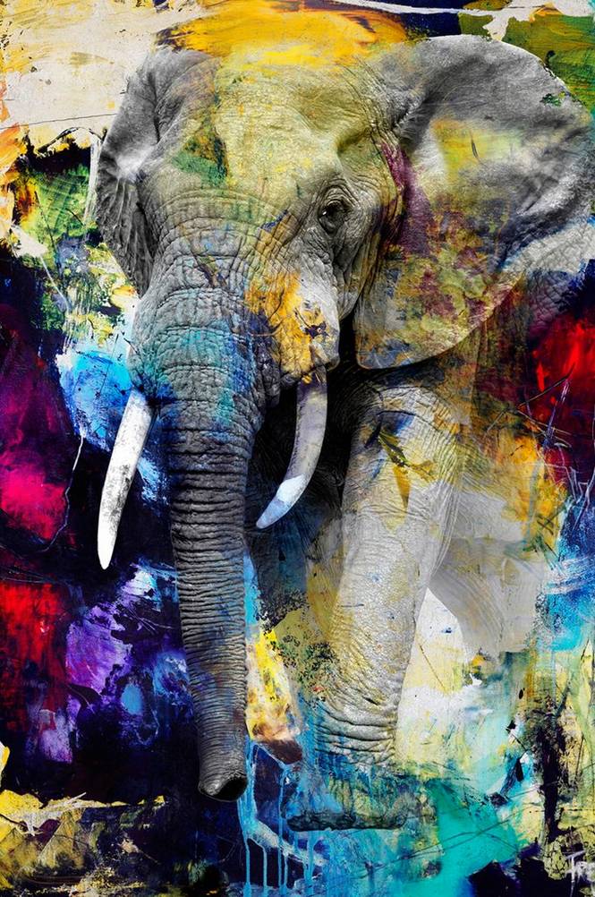 Malerifabrikken Bilde Colour Elephant