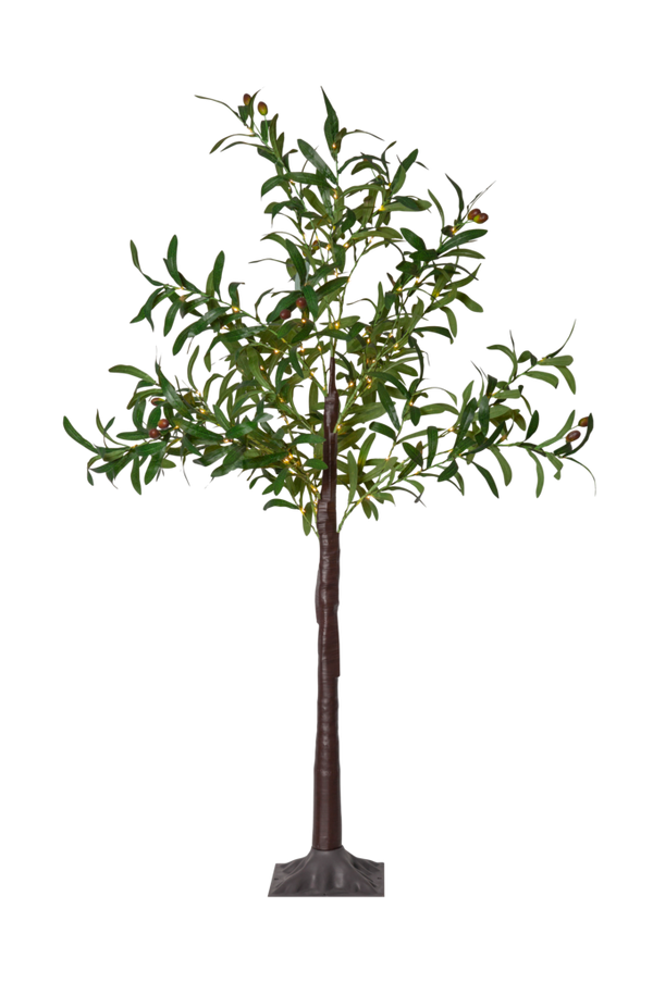 Bilde av Dekortre Olivec 120 cm - 1
