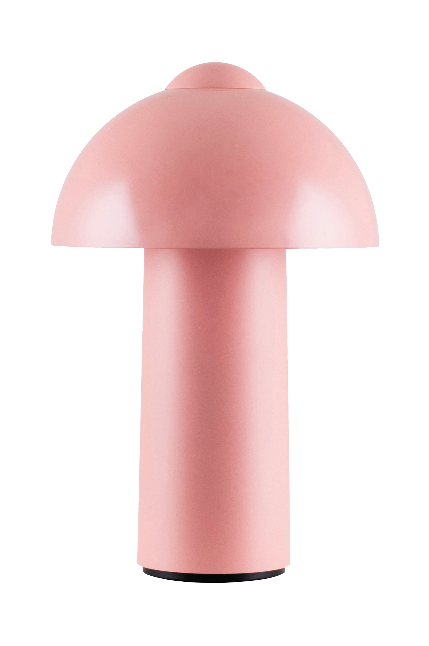 Globen Lighting - Bärbar bordslampa Buddy IP44 - Rosa