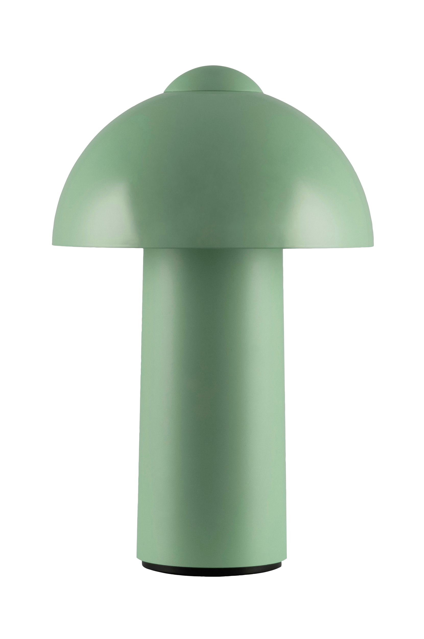 Globen Lighting - Bärbar bordslampa Buddy IP44 - Grön