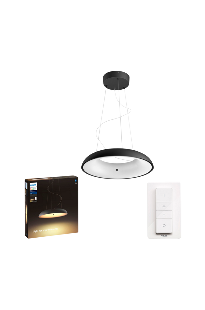 PHILIPS HUE Philips Hue White Ambiance Amaze, black | Plastic