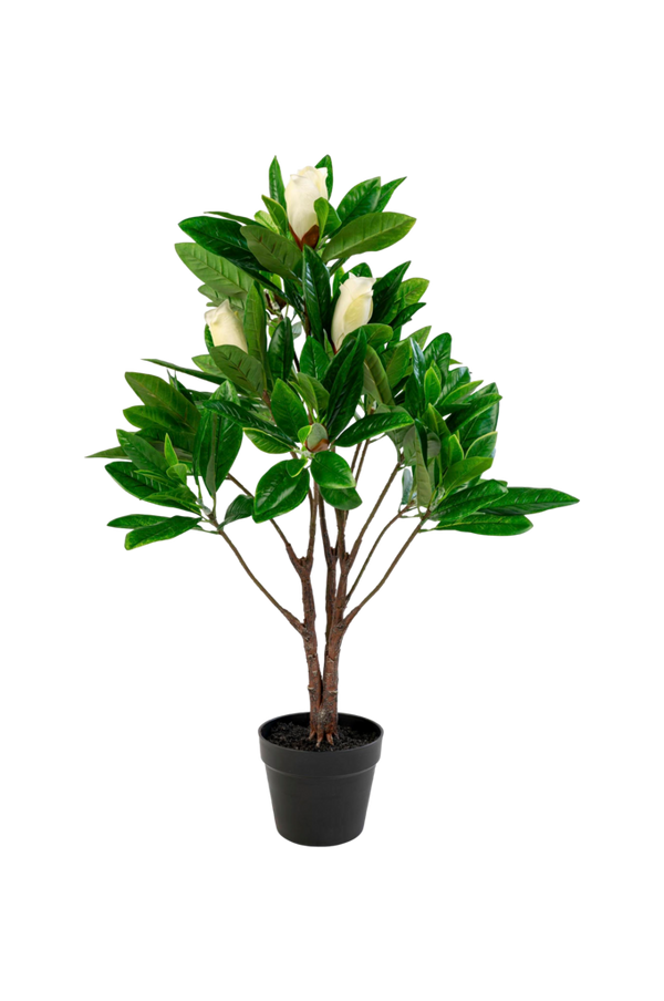 Bilde av Potteplante Magnolia, kunstig, 90 cm - 30151
