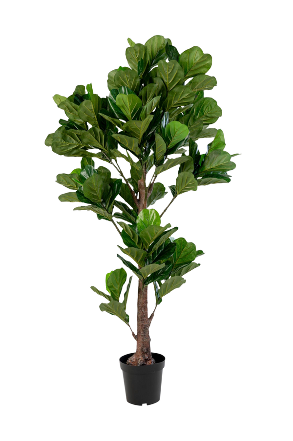 Bilde av Potteplante Fiddle, kunstig, H190 cm - 1
