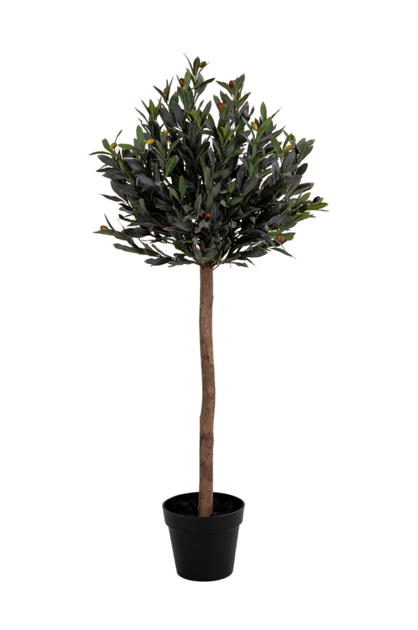 Bilde av Potteplante Olive, kunstig, H120 cm - 30151
