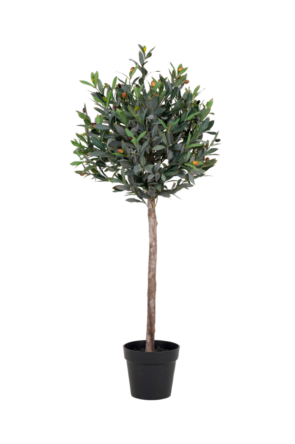 Bilde av Potteplante Olive, kunstig, H120 cm - 30151
