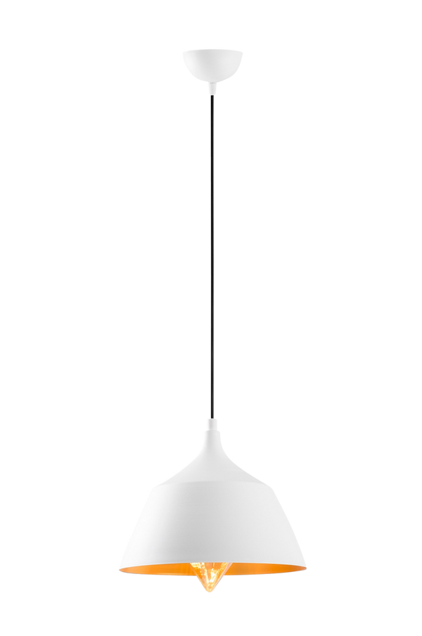 Bilde av Taklampe Dodo - 2551 - 30151
