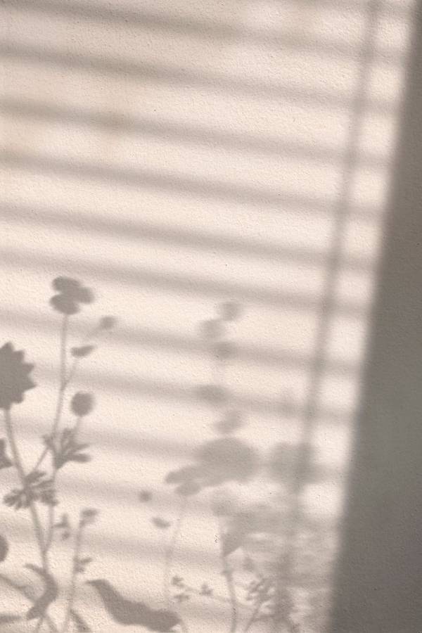 Bilde av Poster Flower shadow - 1
