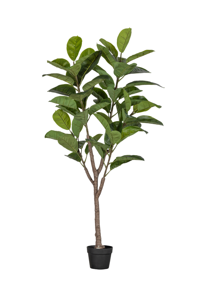 WOOOD Konstgjord växt Rubberboom